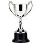 Victory Cup Trophy thumbnail