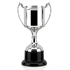 Racer Cup Trophy