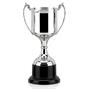 Racer Cup Trophy thumbnail