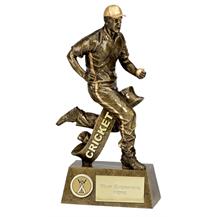 Pinnacle Feilding Cricket Trophy