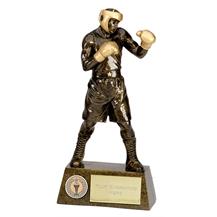Pinnacle Boxing Trophy