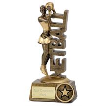 Shield Star Netball  Trophy in 2 Sizes Free Engraving up to 30 Letters N01036 