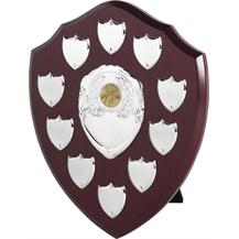 TRS14 356mm 14" 13 Years, td Award Annual Presentation Shield,Trophy 