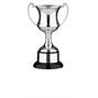 Silver Plated Tenby Trophy 655 thumbnail