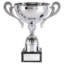 Silver Metal Trophy Cup with Handles 055