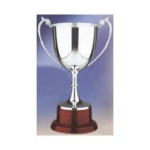 Hallmarked Silver Trophy Cup Mounted on Solid Mahogany Base