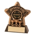 Bronze/Gold Sports Day Mini Star Trophy JR44-RF404