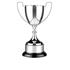 PC5 Swatkins Nickel Plated Trophy Cup Award