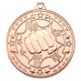 Martial Arts Medal Bronze M74BZ thumbnail