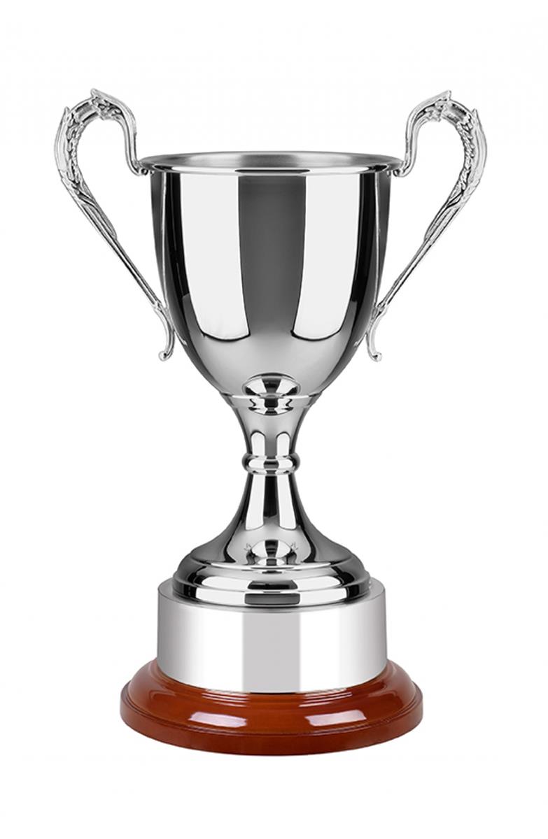 SNW12 Nickel Trophy