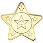 M10G Gold Star Medal thumbnail