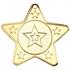 M10G Gold Star Medal