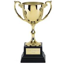 Gold Metal Trophy Cup C01X-01