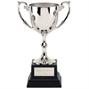 Silver Metal Trophy Cup C01X-02 thumbnail