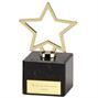 187B Gold Star Award thumbnail