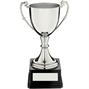 NC1A Nickel Metal Trophy Cup thumbnail