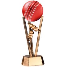 JR6-RF20-Cricket-Trophy