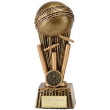 A1647A-A1647B-Cricket-Trophy