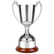 Nickel_Plated_Trophy_SNW490A