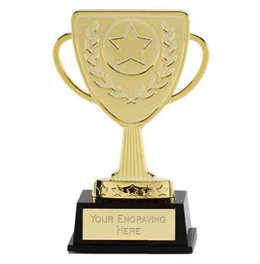 Engraved Award Picture Trophy Plate/Plaque Gold/Silver Many Sizes Trophies 