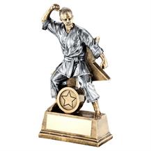 MARTIAL ARTS KARATE JUDO SILVER OR GOLD CUP TROPHY *FREE ENGRAVING 285mm 3 SIZES