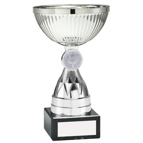 Superb Silver/Gold Bowl Trophy- AT27A AT27B AT27C AT27D