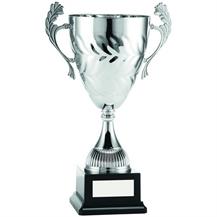 225mm Silver Trophy Cup Sports Day Dance School Free Engraving CL484D 