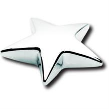 Silverplated Desk Star Award - Outstanding Quality