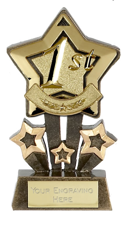 1st Place Gold Star Trophy