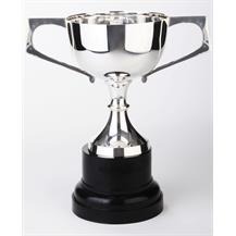 Silverplated Trophy