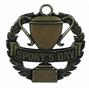 Bronze Sports Day Medal thumbnail