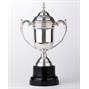 Silverplated Trophy Cup thumbnail