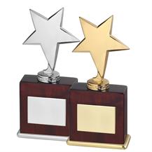 Highly Polished Solid Metal Star Awards on Wood Bases - 2 Colours available