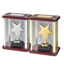 Solid Metal Stars in Elegant Piano Wood Cases - Available in Gold and Silver Finishes