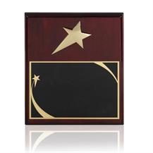 Gold Finish Shooting Star Award with Brass Engraving Plate - TZ013