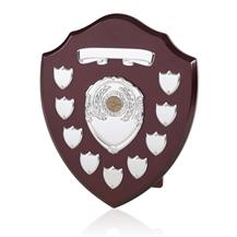 13 Years, Annual Presentation Shield,Trophy TRS14 14" 356mm td Award