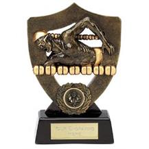 Resin Swimming Award with Backplate - Male Front Crawl / Freestyle