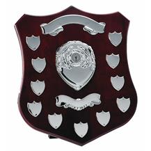13 Years, Annual Presentation Shield,Trophy TRS14 14" 356mm td Award
