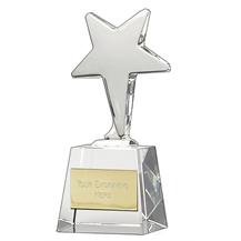 Ice Star Crystal Award