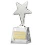 Ice Star Crystal Award thumbnail