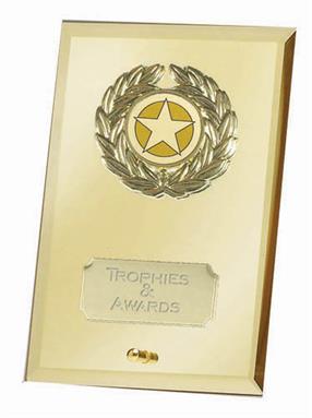 Crest Mirror Gold Jade Glass Award