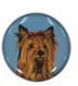 Yorkshire Terrier - New